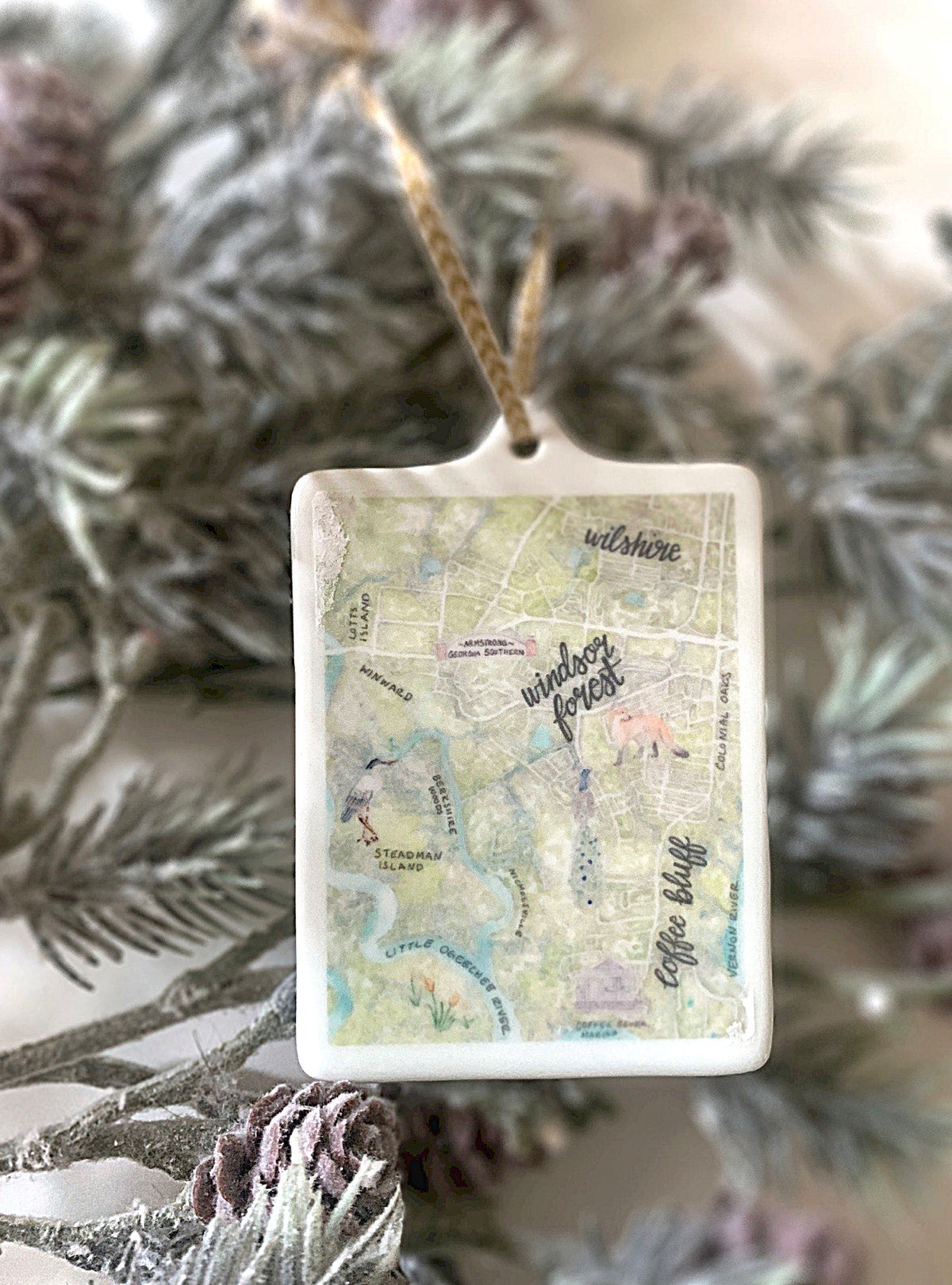 Savannah Map Ornaments