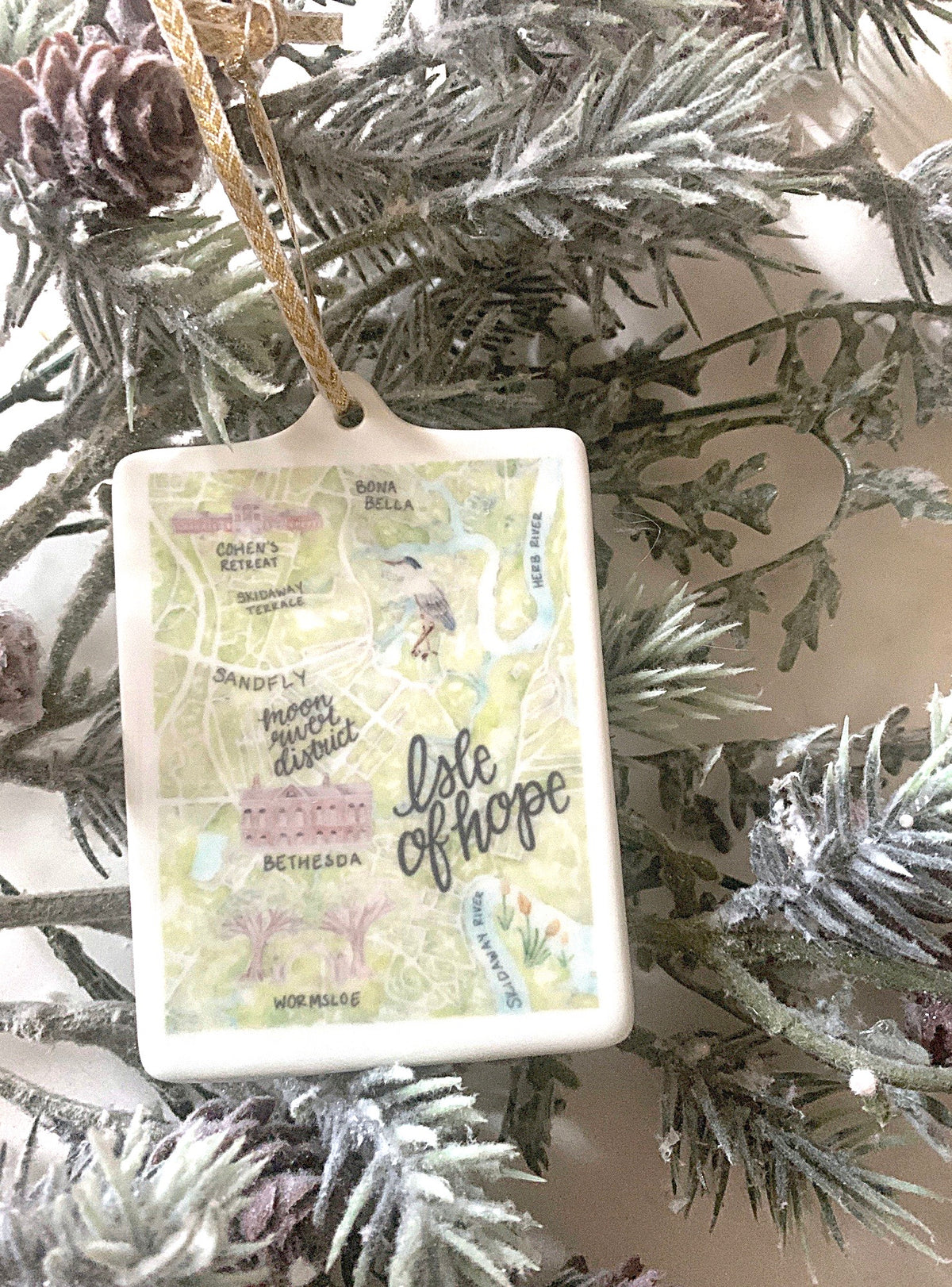Savannah Map Ornaments